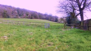 View of field 1 and 2