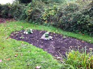 The Original Overgrown Hedge