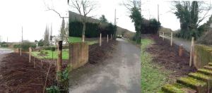 Ground for new hedge from all angles from 