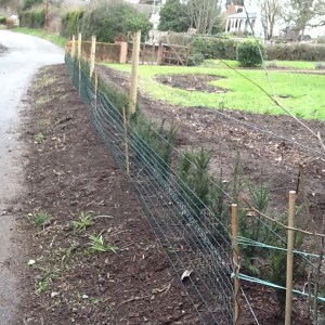 Extra fence in place