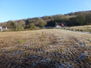 December 2014 - Field 1