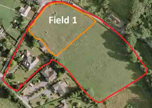 An Orchard is born at Springdale