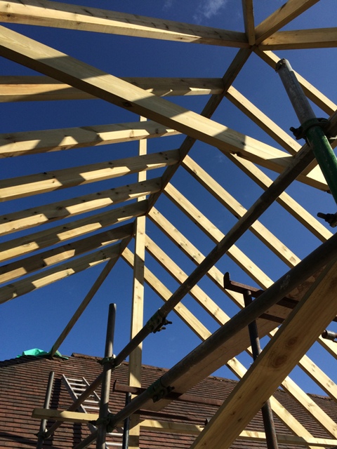 Kitchen roof so far picture 2