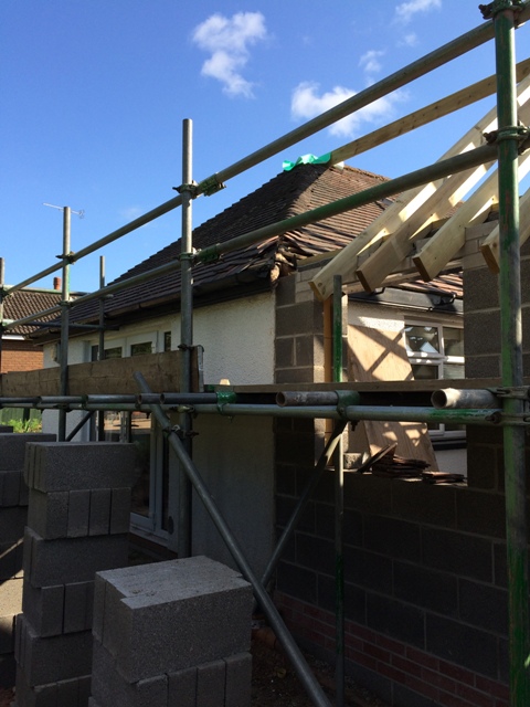 Progress day 23 picture 2