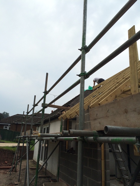 Tile Removal with supervision