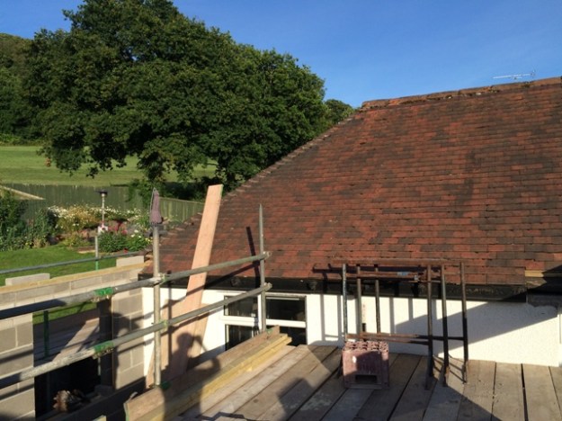 View over garden to field 2