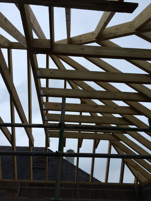 View up to new ceiling height in kitchen