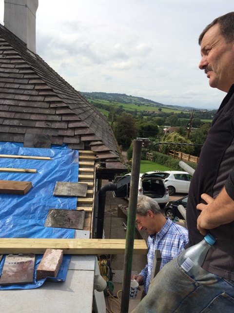 view-from-scaffolding