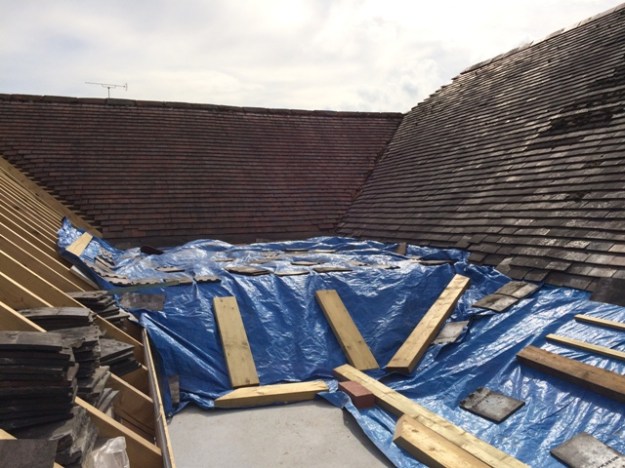 view-of-roof-over-utility-and-entrance-to-new-kitchen-between-the-three-sloping-roofs