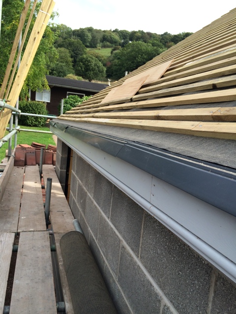view-to-back-garden-across-scaffolding