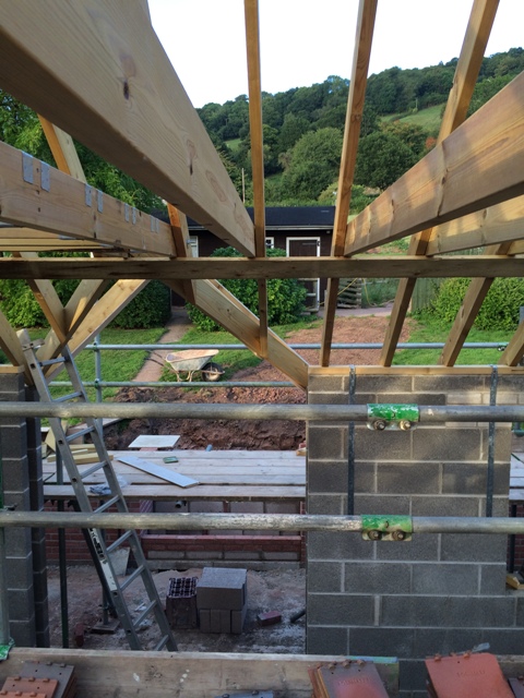 View to garden from scaffolding above new kitchen