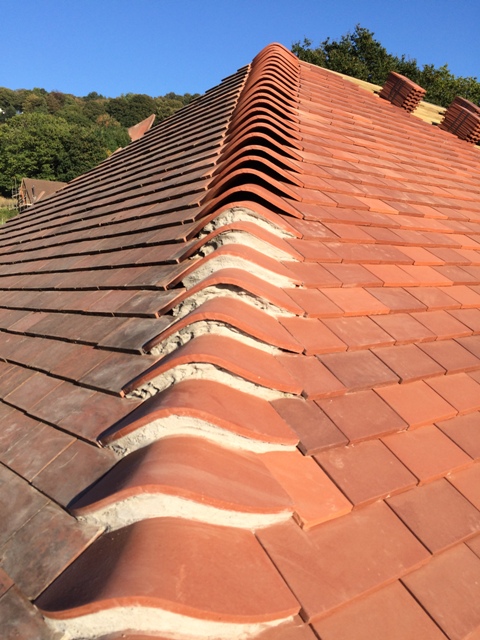 completed-corner-all-down-roof-to-over-new-back-door