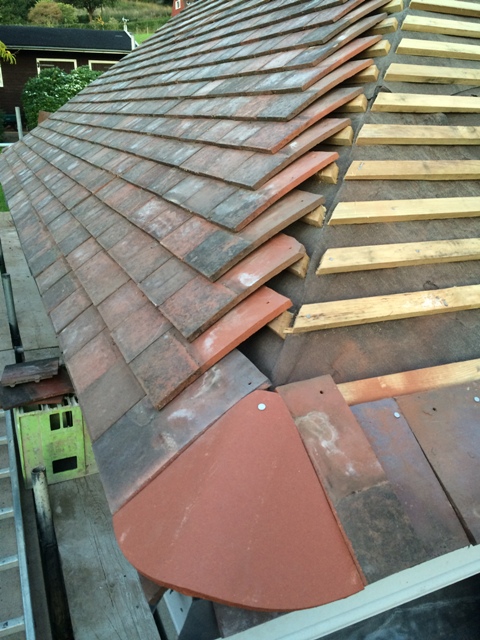 view-along-side-of-newly-tiled-kitchen-roof-towards-back-garden