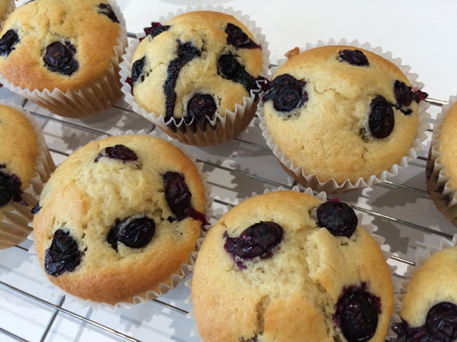 blueberry-muffins-1-11-16