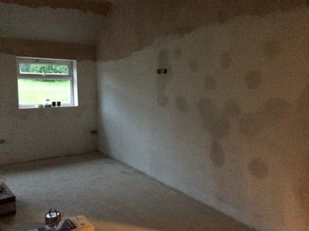 first-coat-of-paint-over-plaster-in-kitchen-watered-down-so-it-does-nor-flake-when-second-coat-is-applied