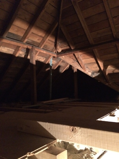 area-where-study-will-be