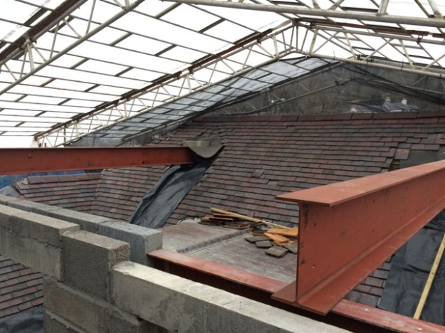 beams-under-canopy-another-pic