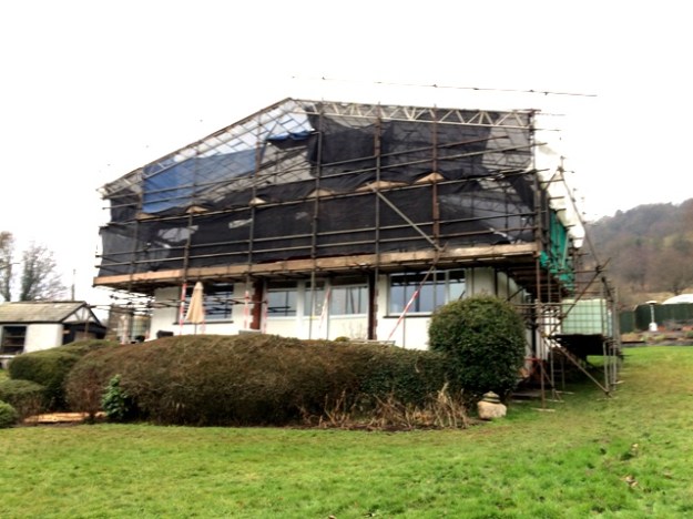 canopy-from-the-right