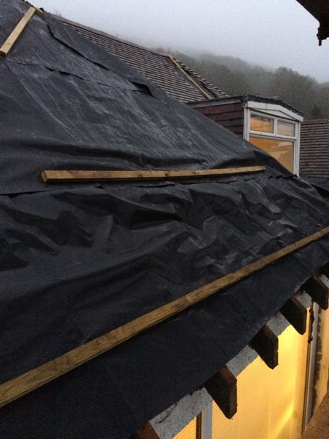 left-side-of-house-17-1-17