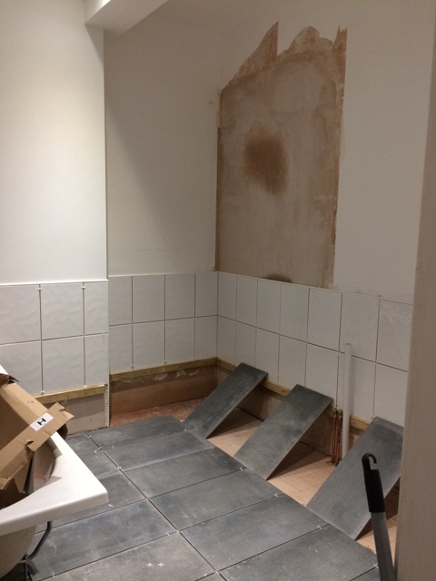 some-floor-tiles-and-wall-tiles-laid-in-new-bathroom