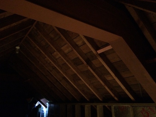 steel-beam-number-1-from-inside-house