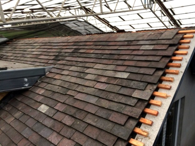 royston-the-roofer-has-coninued-to-work-on-the-roof-today-completing-a-large-section-of-the-roof-next-to-the-dormer-pic-2