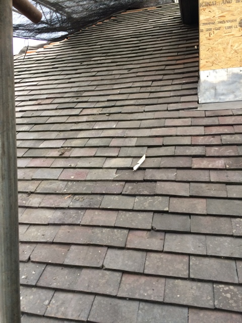 royston-the-roofer-has-coninued-to-work-on-the-roof-today-completing-a-large-section-of-the-roof-next-to-the-dormer