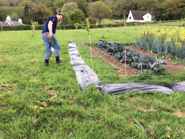 pegging out the matting