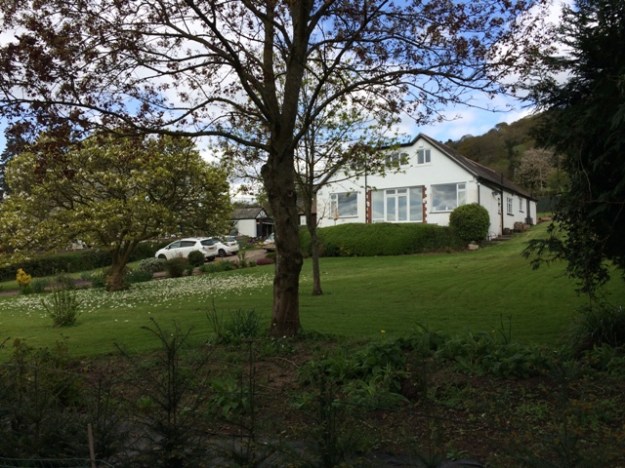 Springdale from the road